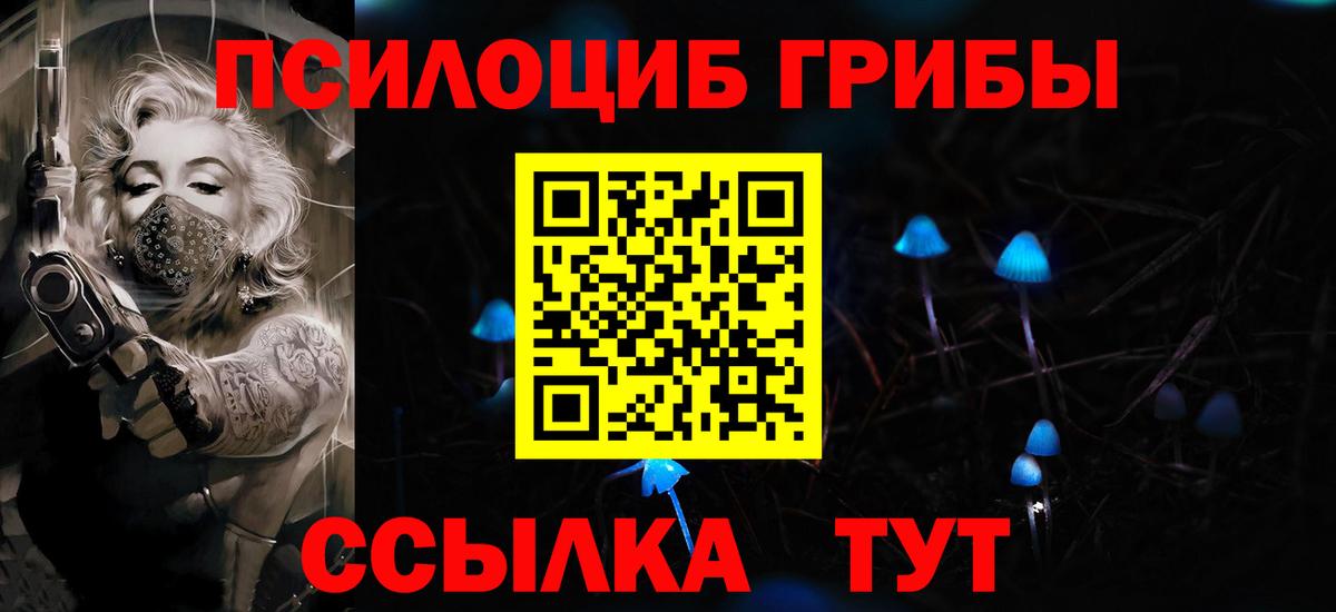 Псилоцибиновые грибы мицелий Вологда