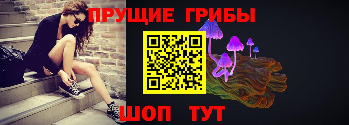 Галлюциногенные грибы прущие грибы  Вход с VPN  Вологда 